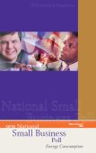 Cover of the report: Energy Consumption