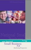 Cover of the report: Marketing Perspectives