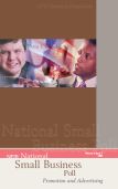 Cover of the report: Promotion and Advertising